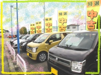 11/16土17日も中古車フェアやります