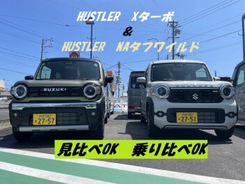 吉田店のハスラーたちです