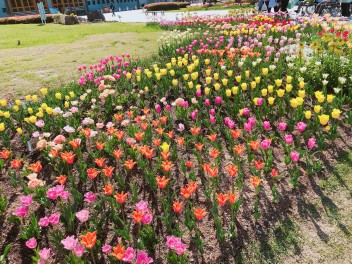 愛車でお出かけ！！信州花フェスタ✿✿
