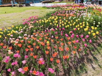 愛車でお出かけ！！信州花フェスタ✿✿