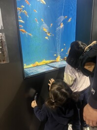本日から営業再開いたします！