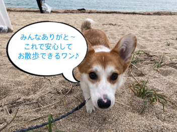 海岸清掃に参加してきました！