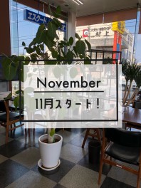 １１月のお休みのお知らせ！