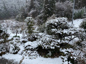 スズキの大決算始まります！