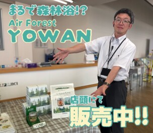 クルマ用消臭芳香剤、あります。