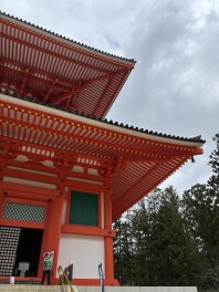 きつねじま日和～紅葉