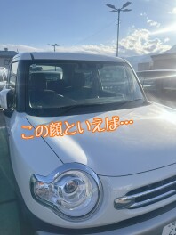 スプリングフェア開催中！