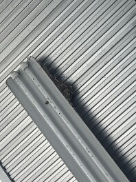 いつの間にか