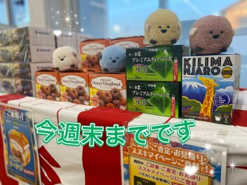 今週末までです！！