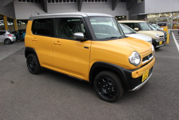 ハスラーが試乗車で追加になりました！