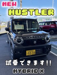 週末展示会開催！