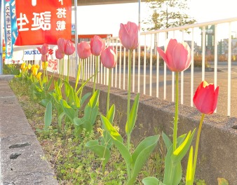 今月もイベント開催いたします☆彡