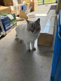 一部料金変わりました！