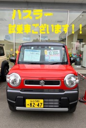 ハスラー試乗車ございます！！