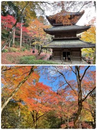 スタッフの休日～紅葉～