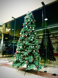 メリークリスマス！！