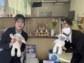 ショールームを春仕様にしました✿❀