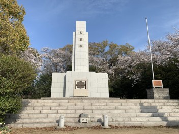 新年度が始まりました