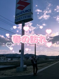 大館店に春がやってきました