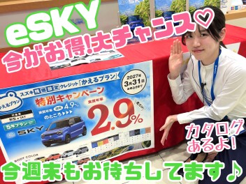 ☆★eSKY！低金利！！★☆