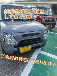 試乗車多数ご用意！！