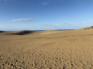 新型クロスビーでドライブ！