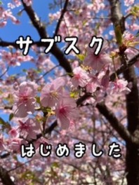 サブスクという言葉を聞いたことない人とサブスクを利用している人は是非見て下さい