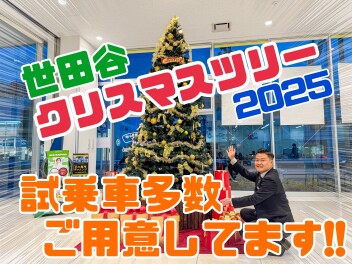 【A世田谷】クリスマスツリー飾りました！