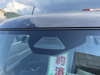 DSBSⅡ