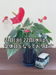 水だけで・・・