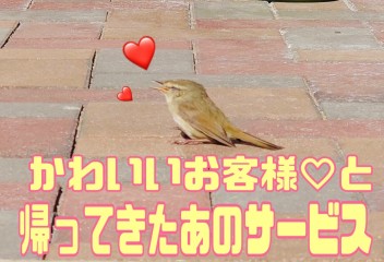 かわいいお客様♡と帰ってきたあのサービス・・・