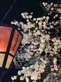 この機会に”見直し”しませんか？