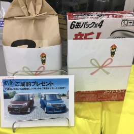 ５月一発目！展示会開催いたします！！