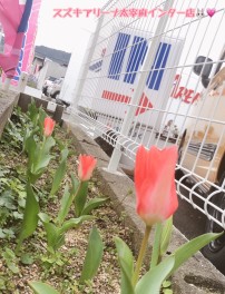 スズキの大決算開催中！