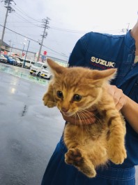 かわいいお客様のご来店