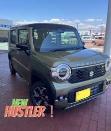 新型ハスラー試乗車あります！