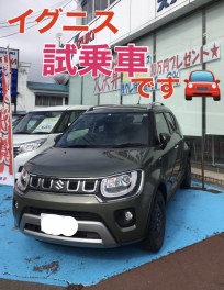 イグニスの試乗車です!(^^)!