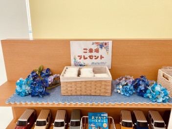 ショールームも梅雨じたく♪
