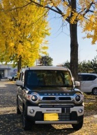 ハスラー納車しました♡