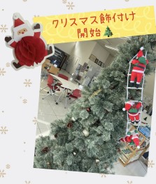 クリスマスツリー出しました！