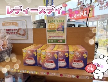 プレミアム商談フェア最終日！！レディースデイ！！