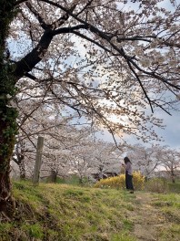 ４月の展示会！！