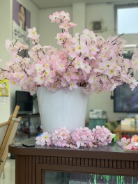 新年度スタートです(*´▽｀*)