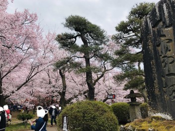 高遠城址公園！