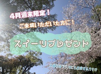 【ラジオ出演するカモ！？】スズキの日開催します！