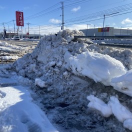 あ～～～やっぱり実家が一番・・・。