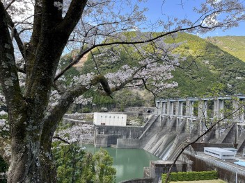 営業再開しました。皆様のご来店をお待ちしております。