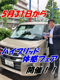 ハイブリッド体感フェア