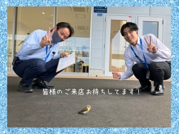 本日より営業再開してます！