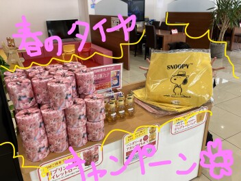 春のタイヤキャンペーン実施中！！